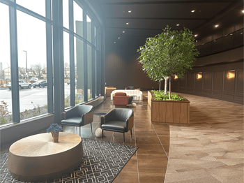 A tree in a planter stands in a hallway with a couch and chairs.